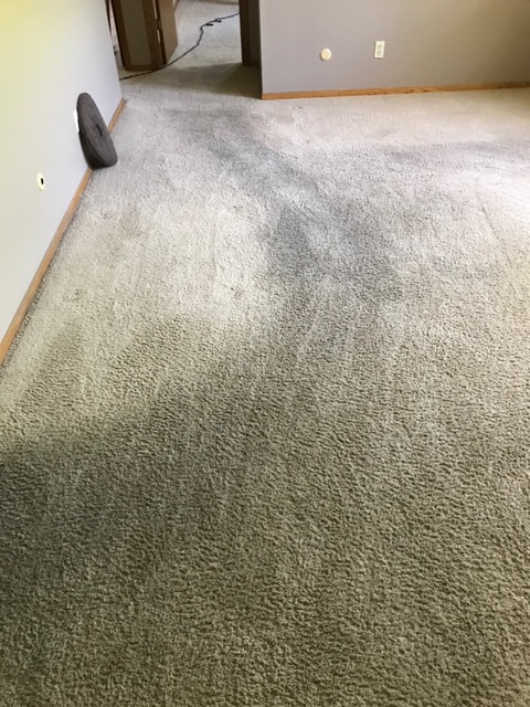 carpet cleaning for your home sioux falls