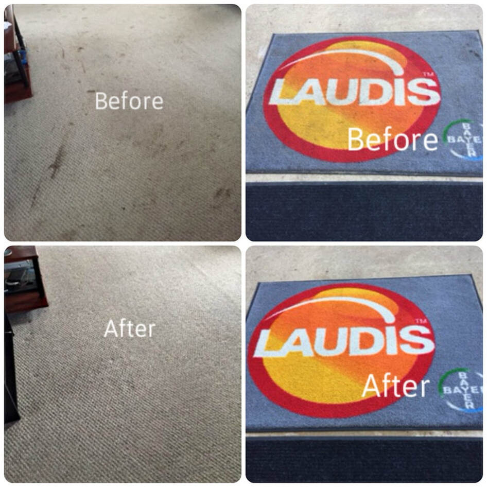 rug cleaning in Sioux Falls sd